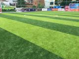 Outdoor Garden Landscaping Turf Lawn Football Artificial Grass Carpet